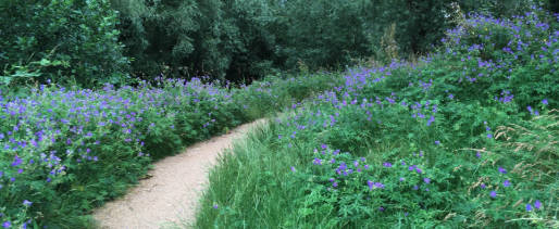 Mindful wandelen, yoga en stadsgedichten – 25 JAAR Griftpark