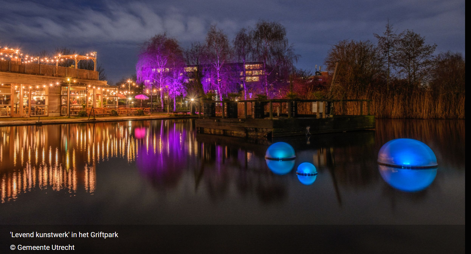 POND in het Griftpark: zie hoe water tot leven komt